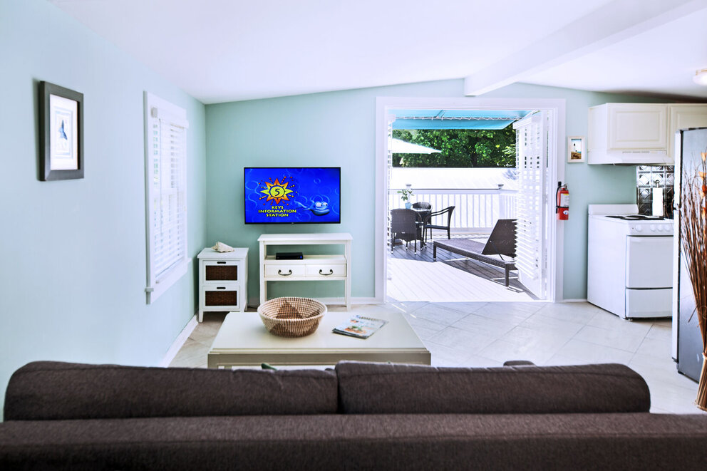 Premier Suite with Sleeper Sofa